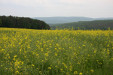 Landschaftsaufnahmen Arndt Last