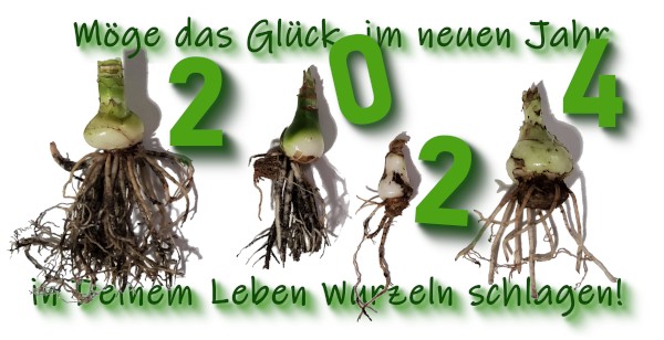 Neujahrskarte Holger 2022